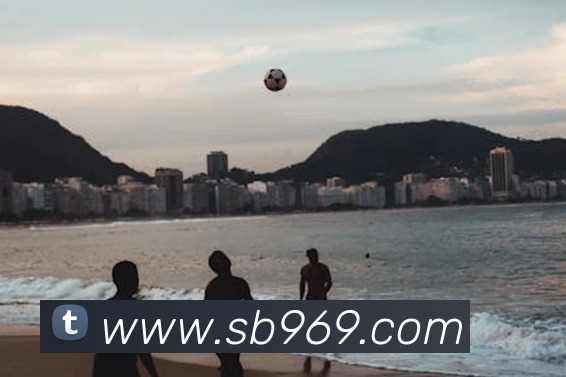 sunbet申博官网发展历程